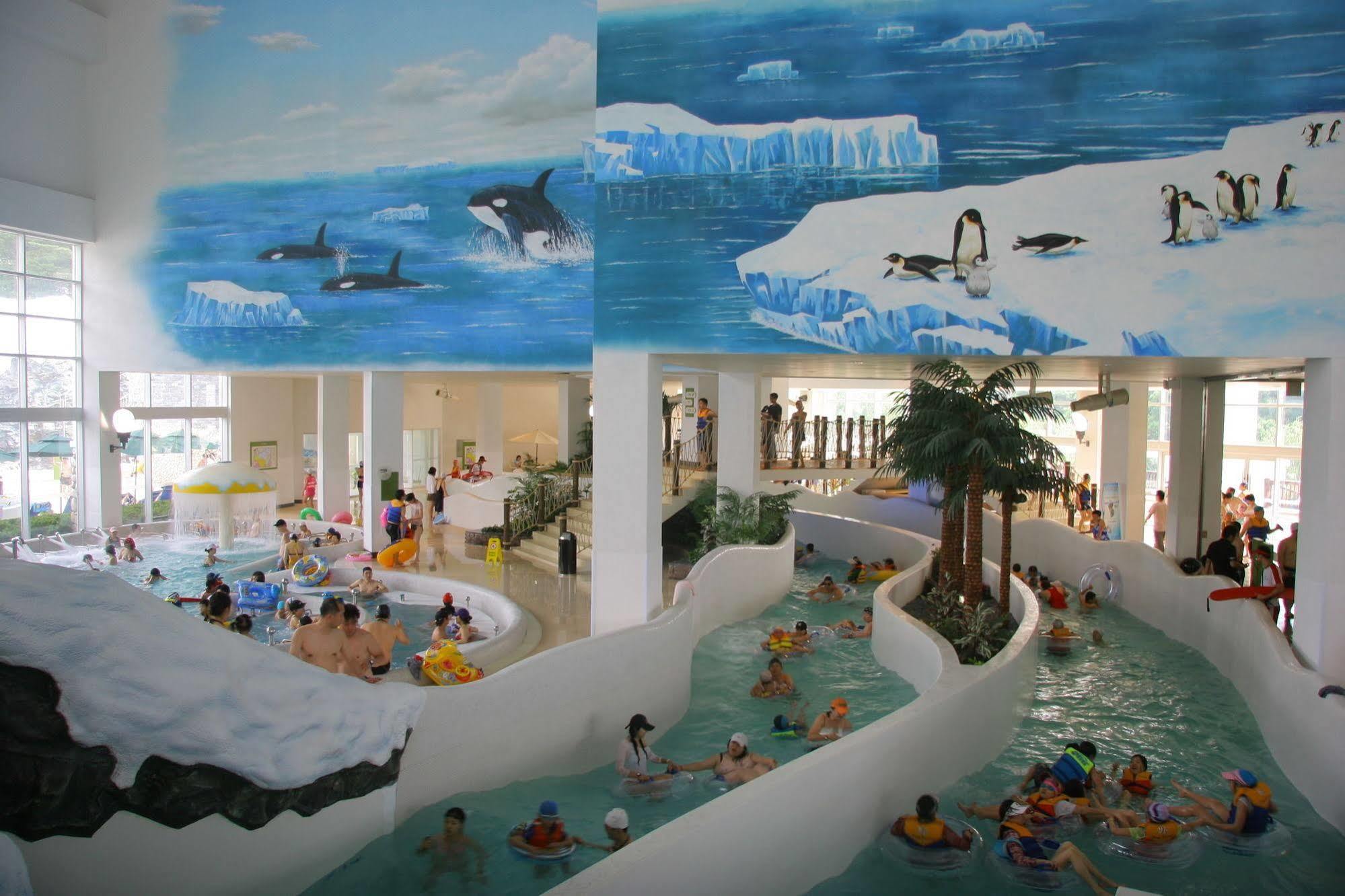 Yongpyong Resort Villa Condominium Pyeongchang Extérieur photo
